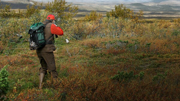 Paradies im hohen Norden