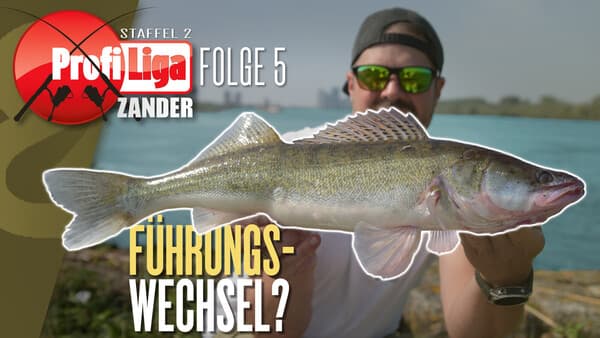 Profi-Liga Zander 2.0.: Folge 5