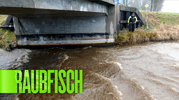 Sturm! Was tun, Matze Koch?