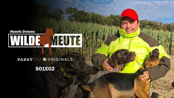 Henrik Drüens Wilde Meute | Maisjagd auf Sauen | Folge 2