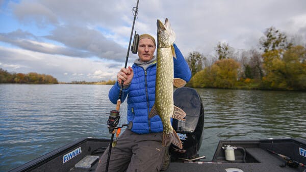 So ticken Fische: die Rhein-Hechte