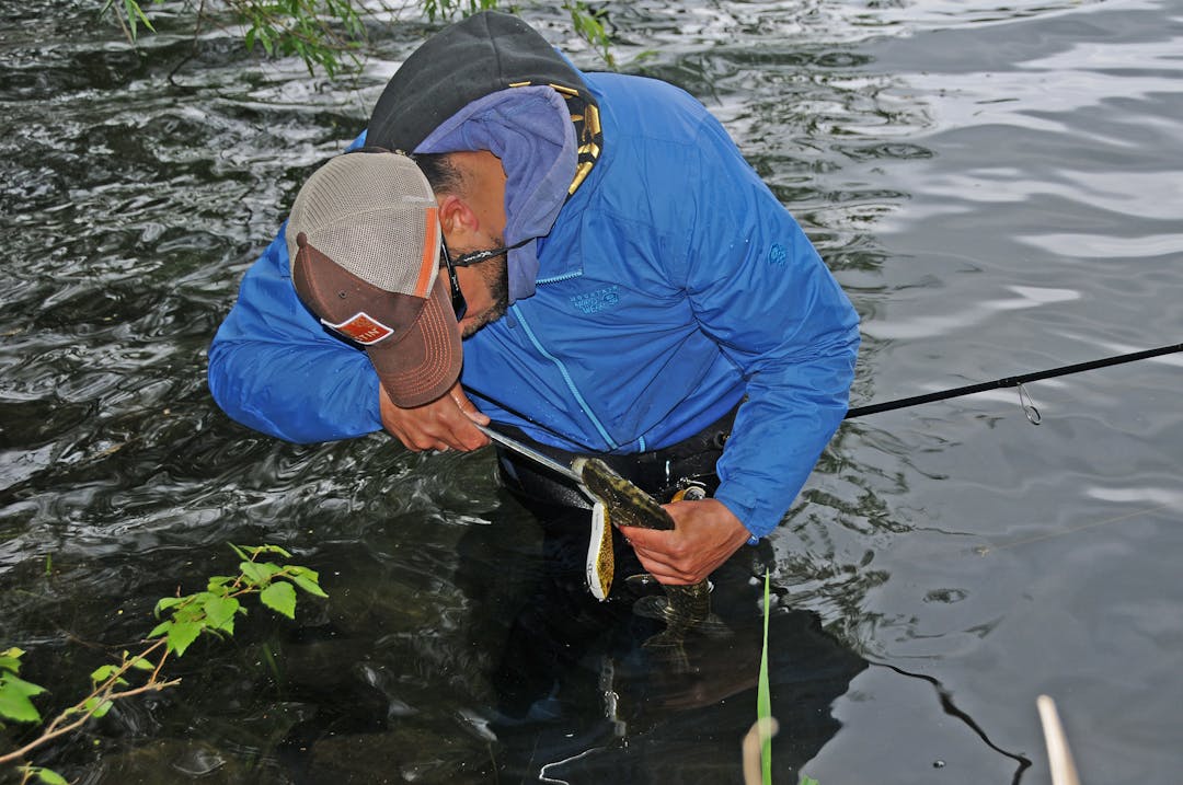 Lange Zange für Esox