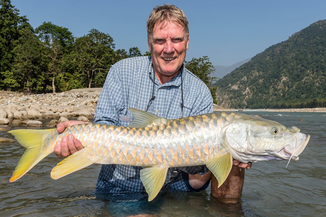 Die heiligen Fische des Himalayas 