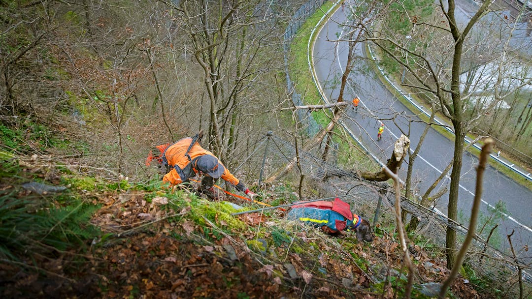 Auf und ab