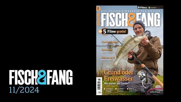 FISCH & FANG 11/2024