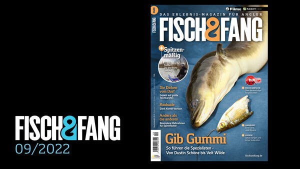 FISCH & FANG 09/2022