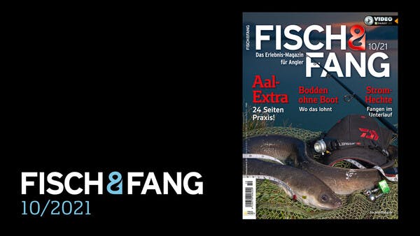 FISCH & FANG 10/2021