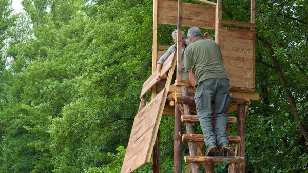 Hochsitz und Haftung