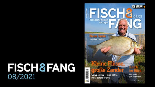 FISCH & FANG 08/2021