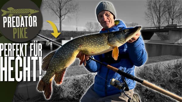 Perfekt für Hecht: Predator Pike Light