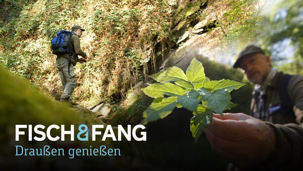 Draußen genießen: Frühling am Bach