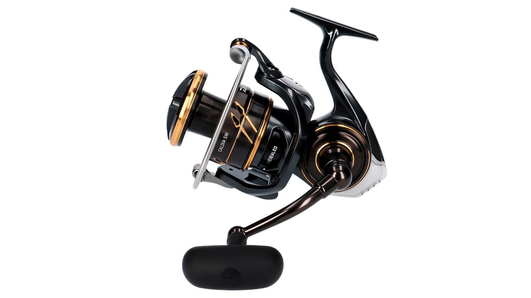 Daiwa Caldia SW 6000 D-H 