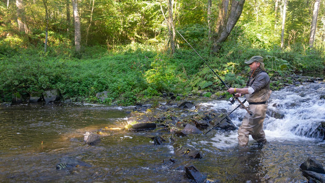 Variabel am kleinen Fluss