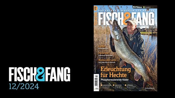 FISCH & FANG 12/2024