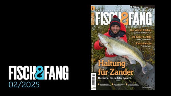 FISCH & FANG 02/2025