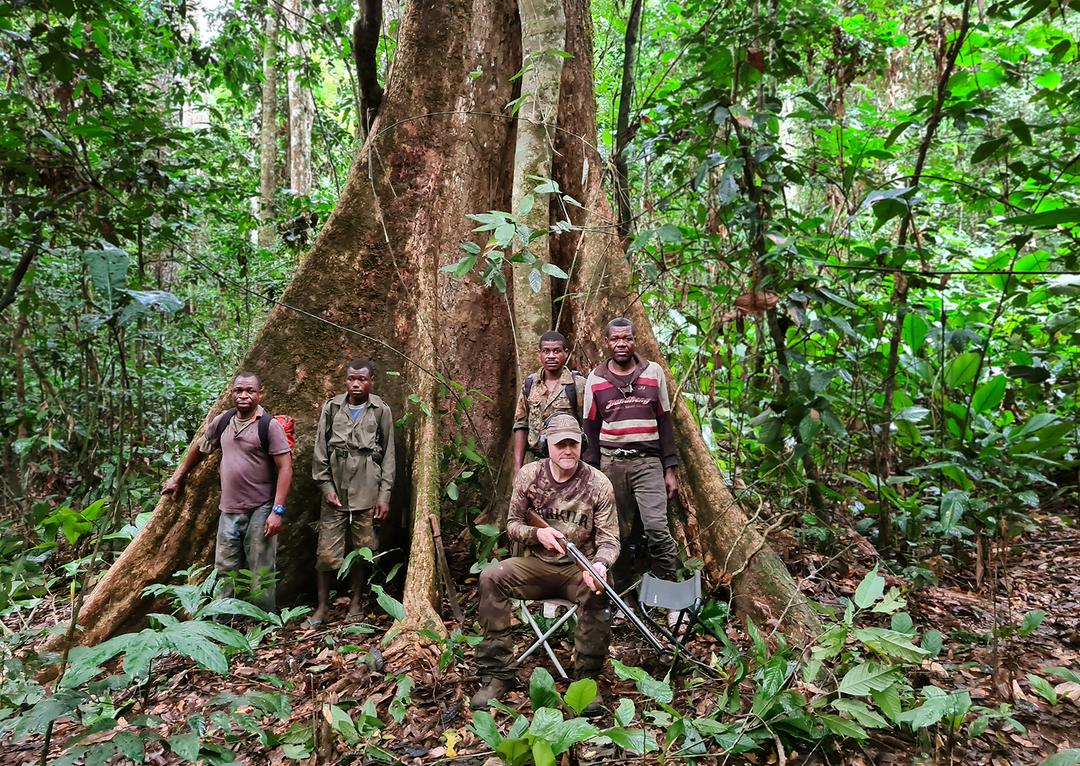 "Blattjagd" im Urwald