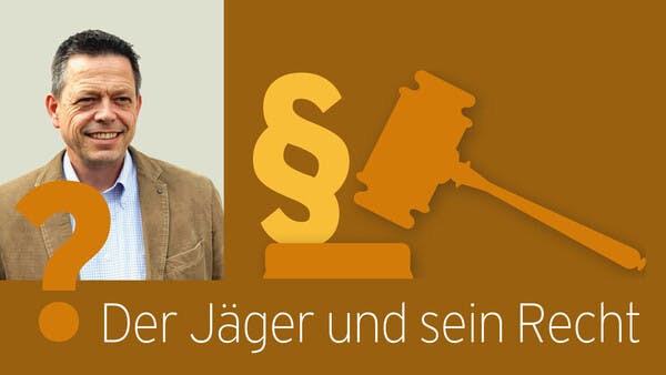 Der Jäger und sein Recht – Muss der Verpächter Eigentümer sein?