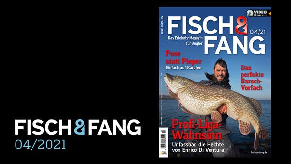 FISCH & FANG 04/2021