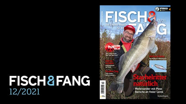 FISCH & FANG 12/2021