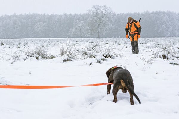 Nachsuche bei Schnee und Eis