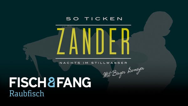 So ticken Zander: Nachts im Stillwasser