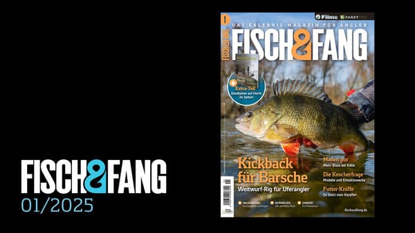 FISCH & FANG 01/2025