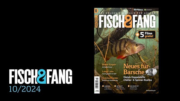 FISCH & FANG 10/2024