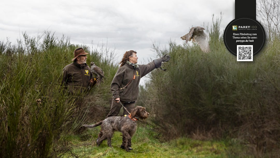 Mit Spinone und Habicht