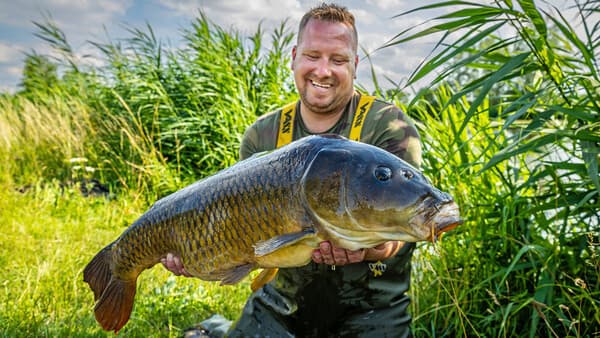 So fängt man Polder-Karpfen