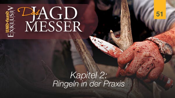 Das Jagdmesser - Kapitel 2 Ringeln in der Praxis | WILD UND HUND-Exklusiv 51