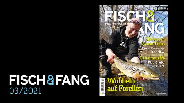 FISCH & FANG 03/2021