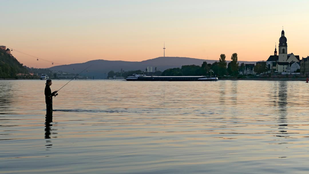 Feinstes Fischen am Mittelrhein