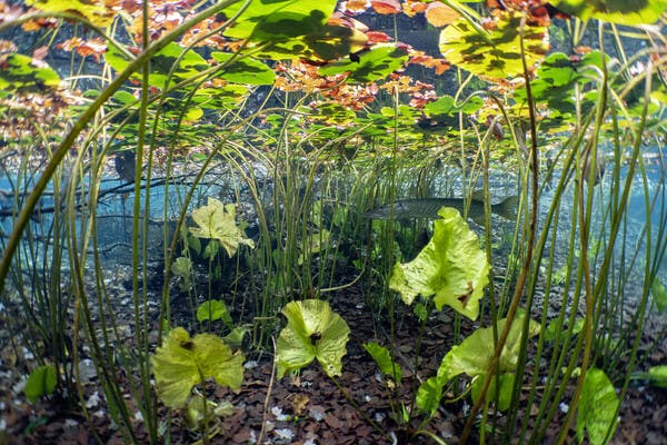 Galerie Hecht im Biberteich