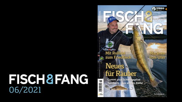 FISCH & FANG 06/2021