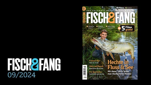 FISCH & FANG 09/2024