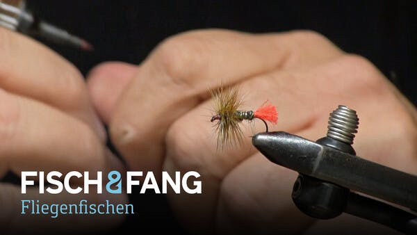 Fliegenbinden: Die Red Tag