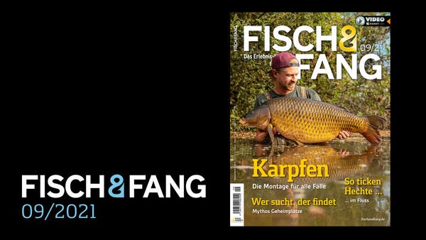 FISCH & FANG 09/2021