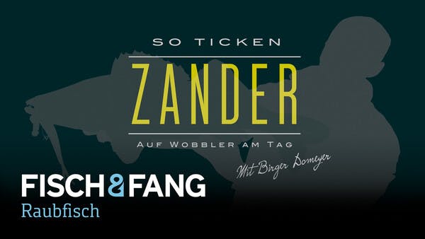 So ticken Zander: Auf Wobbler am Tag