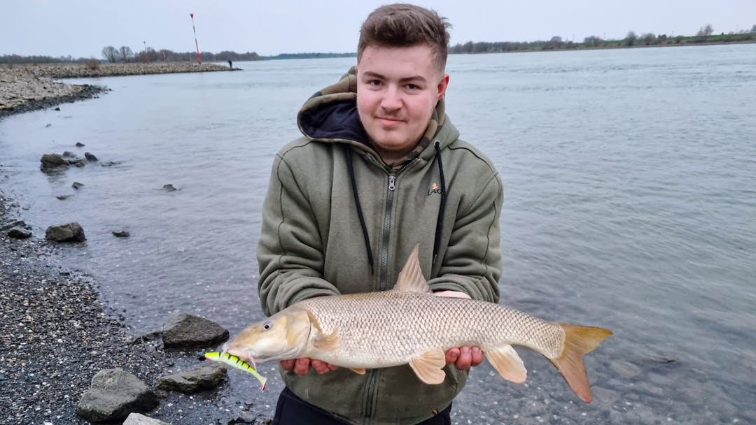 Schmeiß einfach mal rein in den Rhein