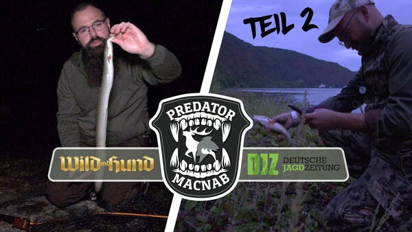 Predator Macnab Teil 2 - Zwei Redaktionen, ein Tag, eine Aufgabe