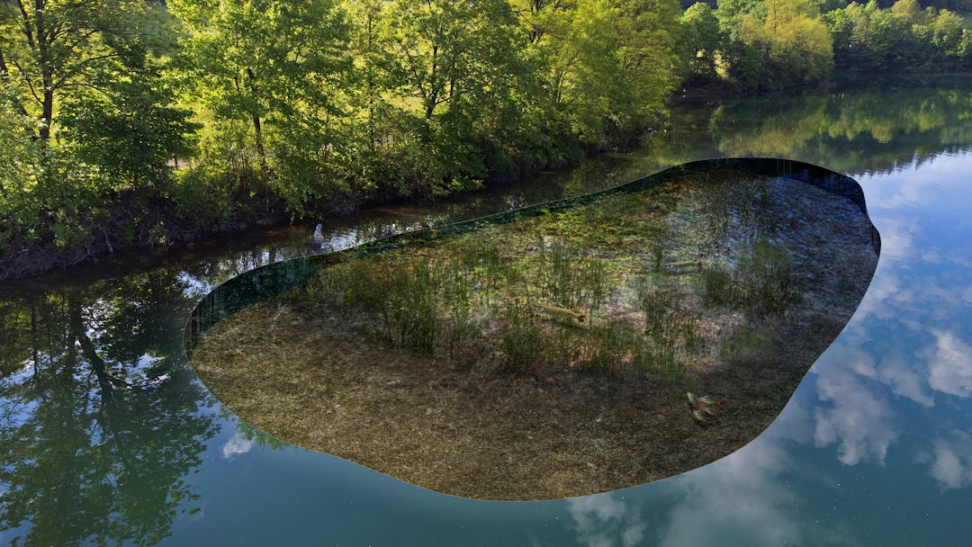 So ticken Hechte in der Talsperre