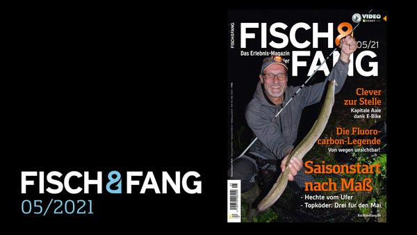 FISCH & FANG 05/2021