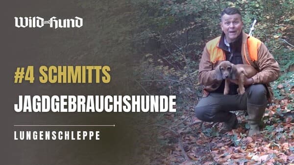 Schmitts Jagdgebrauchshunde - DIE LUNGENSCHLEPPE