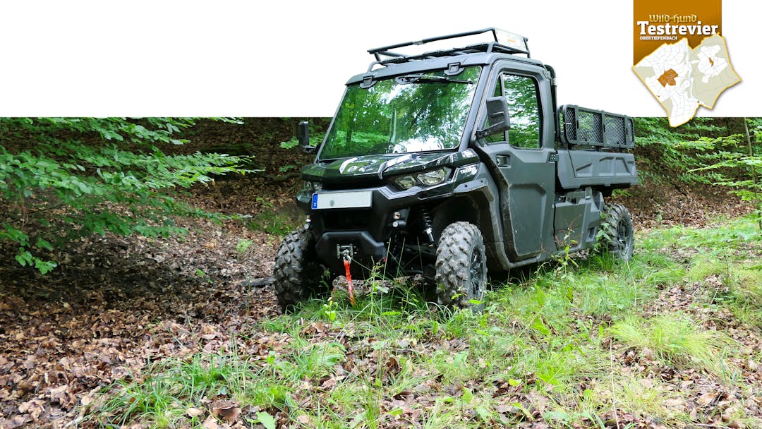 Über Stock und Stein