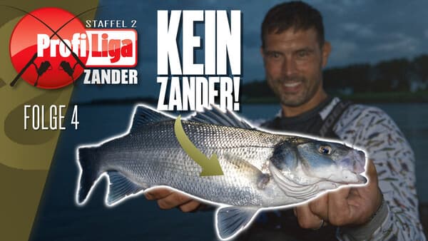 Profi-Liga Zander 2.0.: Folge 4