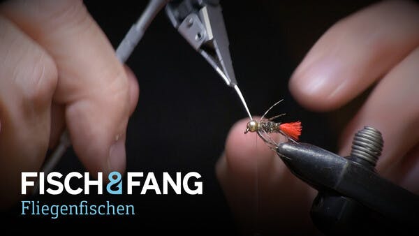 Fliegenbinden: Die schnelle Nymphe