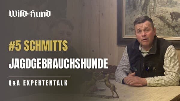 Schmitts Jagdgebrauchshunde - Q & A Expertentalk