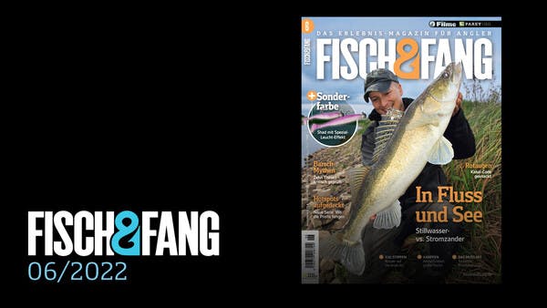 FISCH & FANG 06/2022