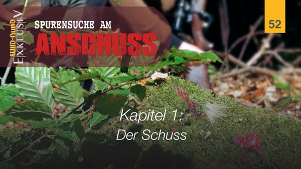 Spurensuche am Anschuss - Kapitel 1 Der Schuss | WILD UND HUND-Exklusiv 52