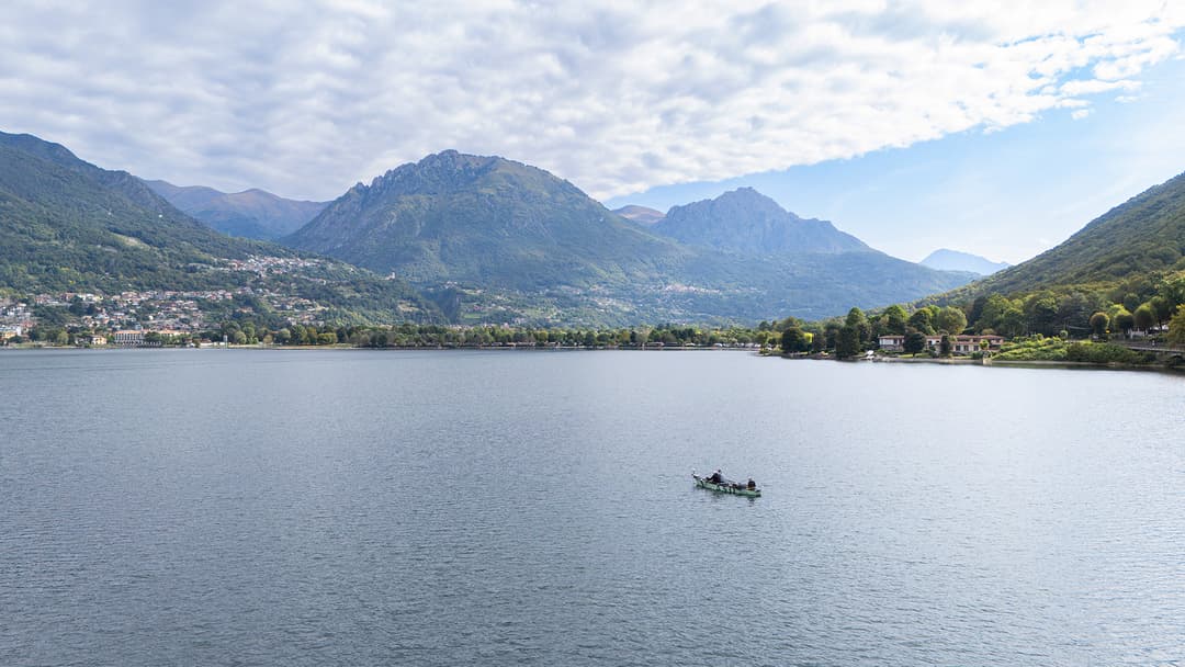 So ticken Zander in den Alpenseen